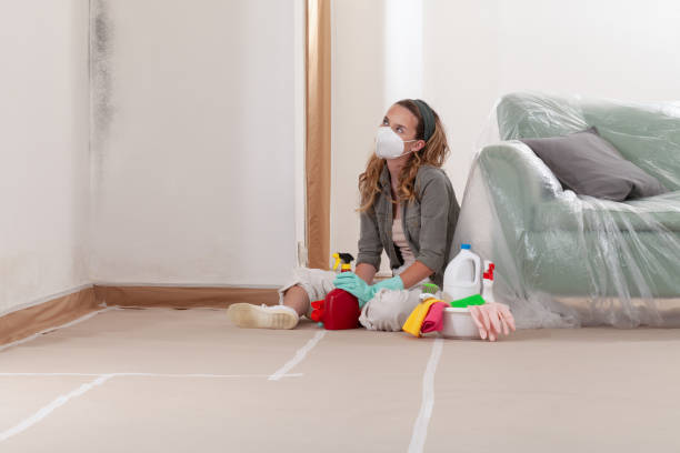 Reliable Black Mold Removal contractor in Hawk Run, PA by WQB Mold Removal